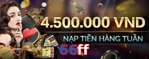 66ff