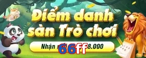 66ff