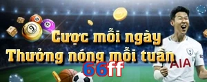 66ff
